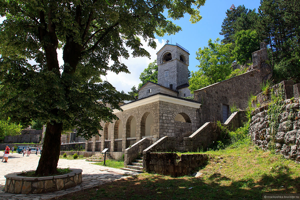 Cetinje